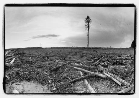 Grassy Narrows Land, Photographer Jon Schledewitz